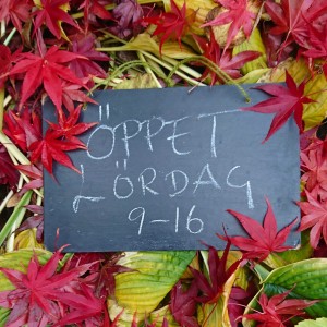 IMG_20181102_105023_044