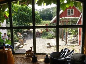 IMG_20210801_095307_251
