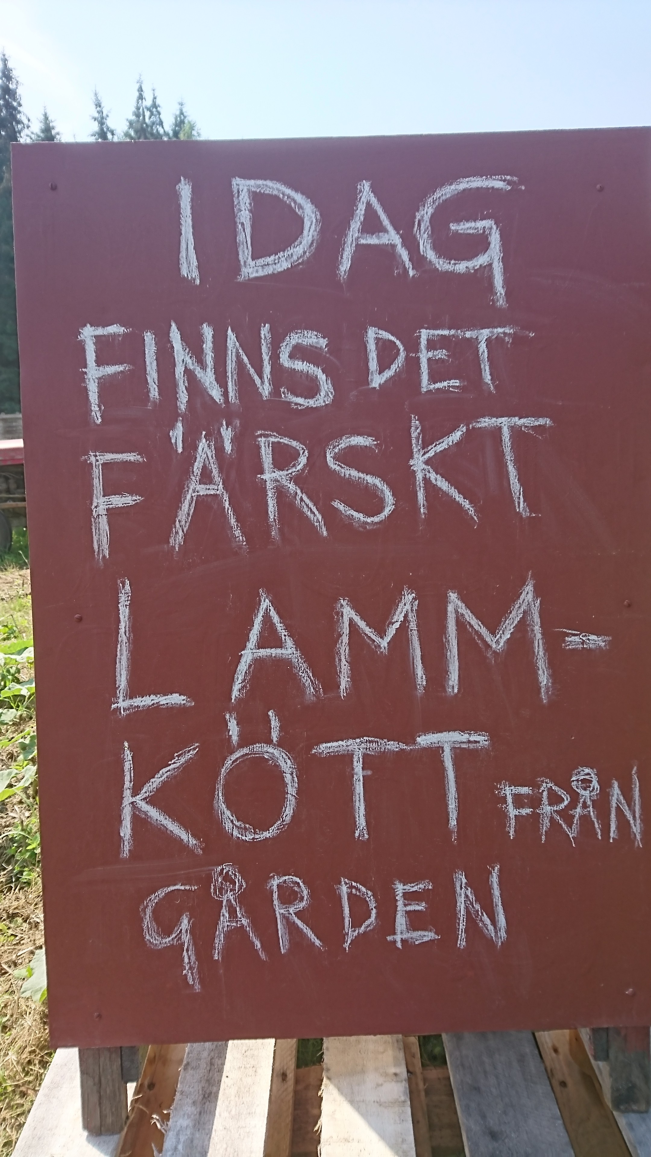 lammskylt
